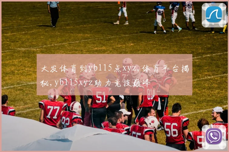 大发体育到yb115点xyz,体育平台揭秘,yb115xyz助力竞技巅峰
